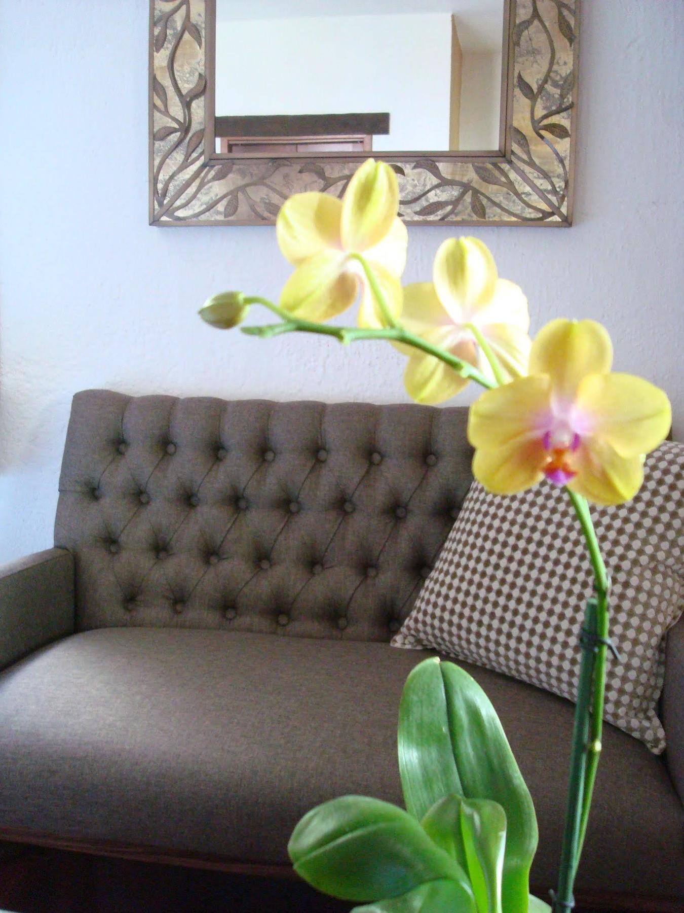 Casa Embrujo Morelia - Boutique Extérieur photo